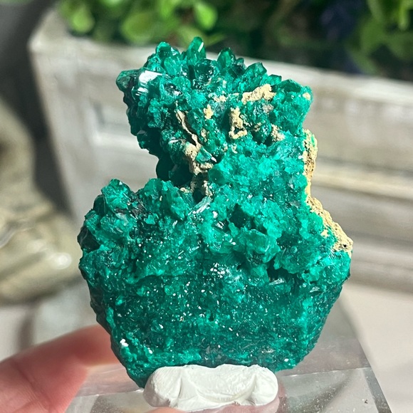 Dioptase - Picture 3 of 4